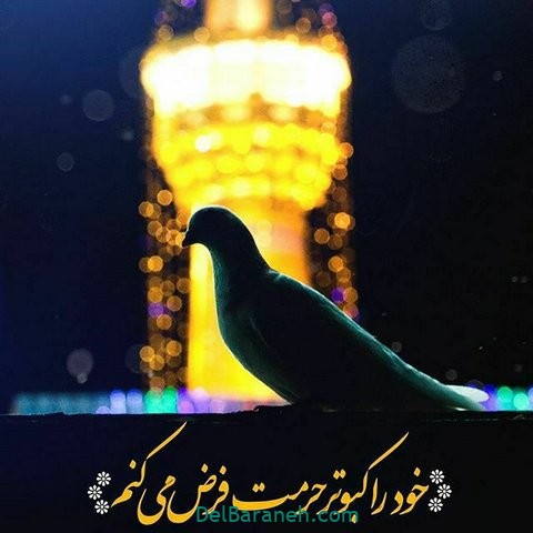 عکس نوشته امام رضا (۲۶)