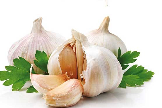 سیر سیر