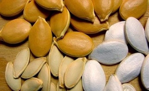 ۱۱ فایده تخمه کدو برای سلامتی