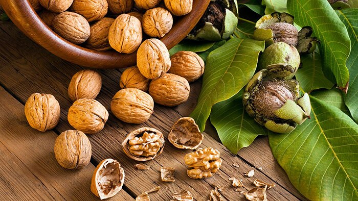 ۹ خاصیت شگفت انگیز گردو برای بدن