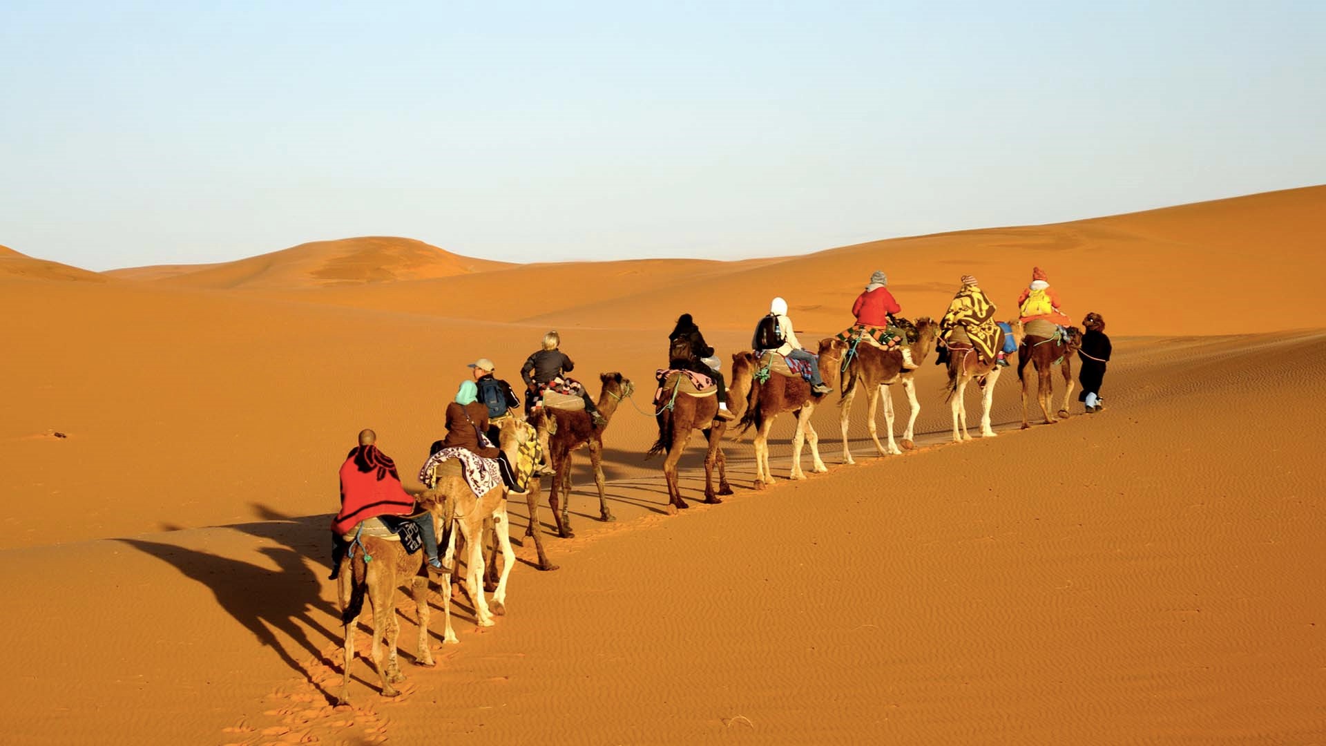 کویر مصر