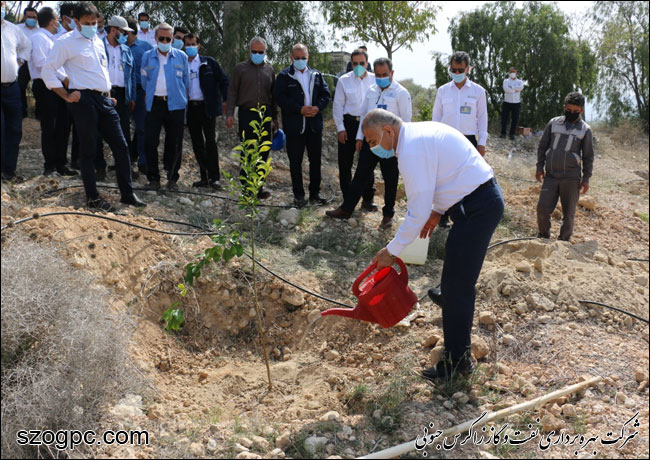 کارکنان زاگرس جنوبی با کاشت ۱۰۰۰ اصله نهال در روز درختکاری 23