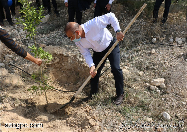 کارکنان زاگرس جنوبی با کاشت ۱۰۰۰ اصله نهال در روز درختکاری 22