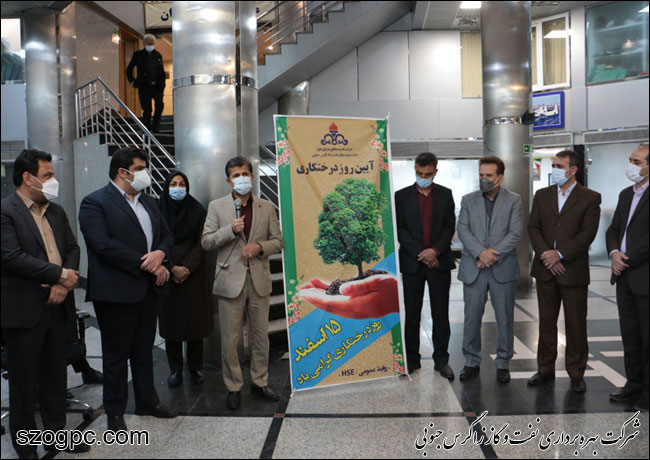 کارکنان زاگرس جنوبی با کاشت ۱۰۰۰ اصله نهال در روز درختکاری 1