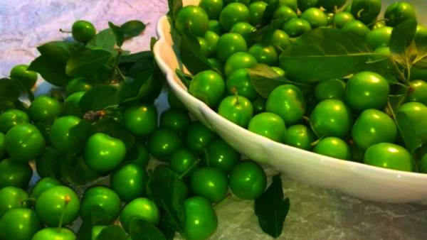 مصرف گوجه سبز