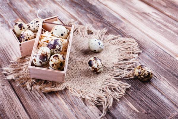 فواید تخم بلدرچین برای بدن تخم بلدرچین