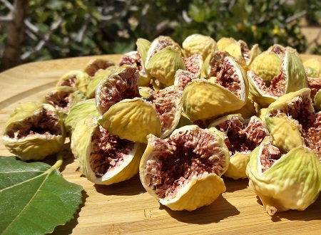 مربای انجیر رشته یا مربای انجیر خشک مربای انجیر خشک , مربای انجیر گاردنی , طبع مربای انجیر رشته