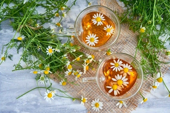 خواص بابونه