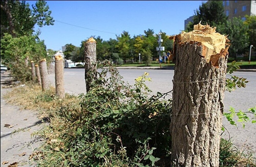عصرانه خبری شهرهای ایران در ۲۴ دی‌