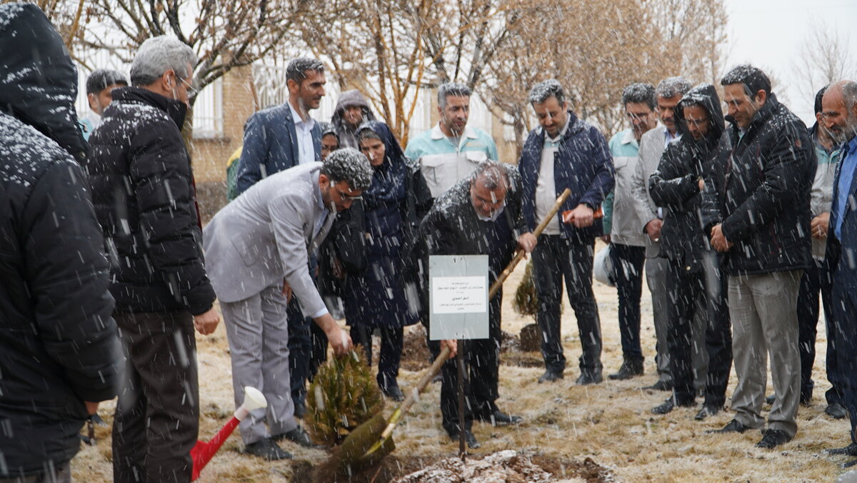 مشارکت شرکت ورق‌خودرو در کاشت ۲۰ هزار اصله نهال و ایجاد ۴۰ هزار هکتار جنگل