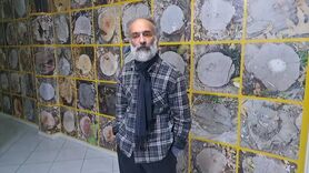 درختانی که جدی گرفته نشده اند